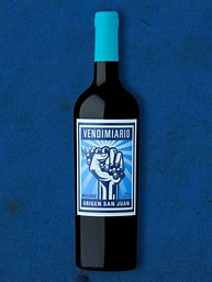 VENDIMIARIO MALBEC SAN JUAN DE 750ML 